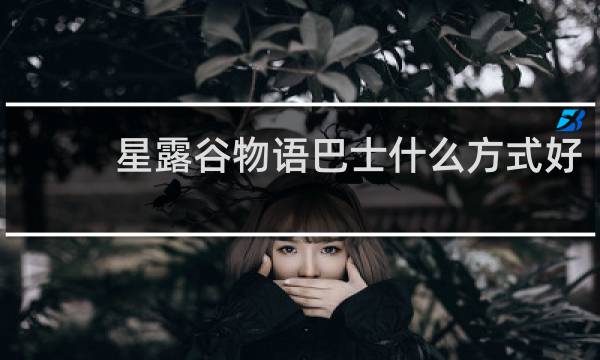 星露谷物语巴士什么方式好