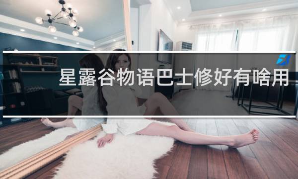 星露谷物语巴士修好有啥用