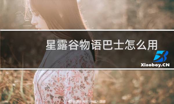 星露谷物语巴士怎么用