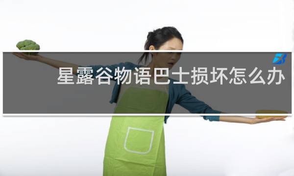 星露谷物语巴士损坏怎么办