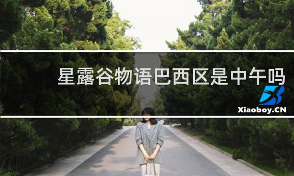 星露谷物语巴西区是中午吗