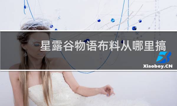 星露谷物语布料从哪里搞