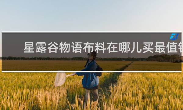 星露谷物语布料在哪儿买最值钱