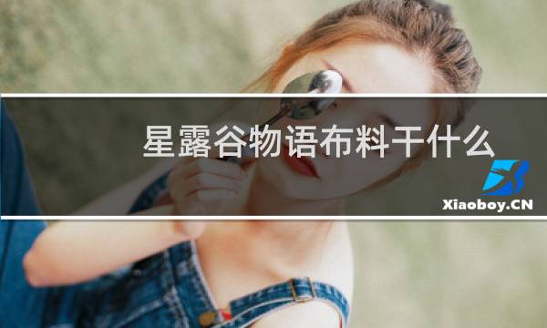 星露谷物语布料干什么