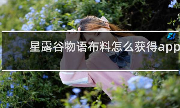 星露谷物语布料怎么获得app