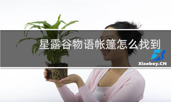 星露谷物语帐篷怎么找到