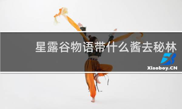 星露谷物语带什么酱去秘林