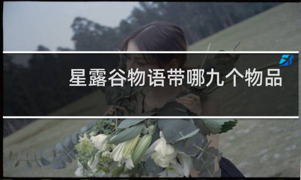 星露谷物语带哪九个物品
