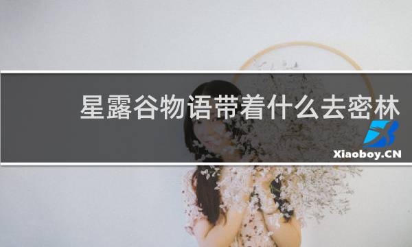 星露谷物语带着什么去密林