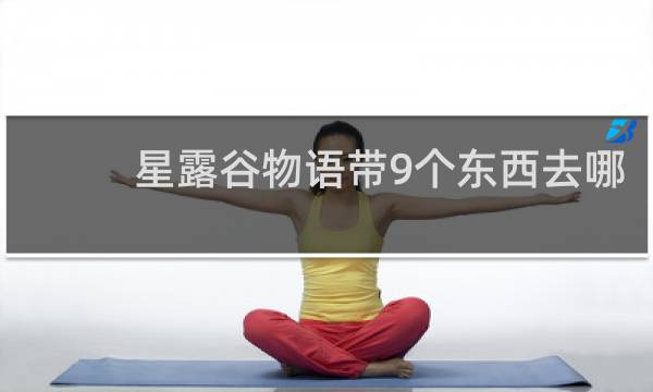 星露谷物语带9个东西去哪
