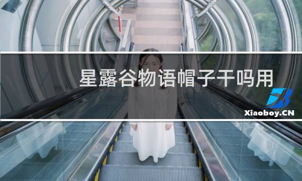 星露谷物语帽子干吗用