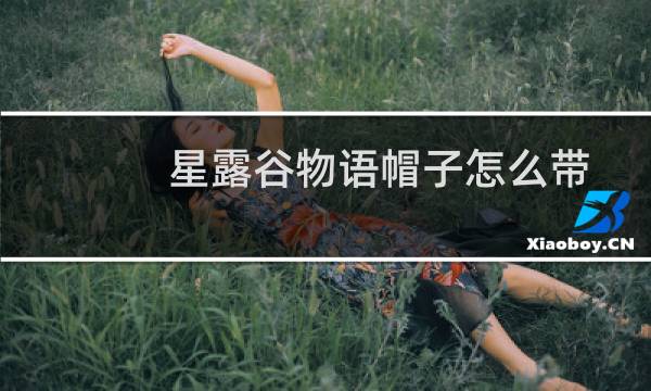 星露谷物语帽子怎么带