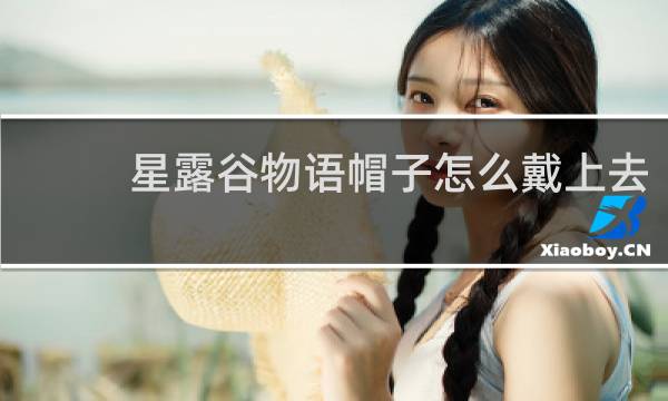 星露谷物语帽子怎么戴上去