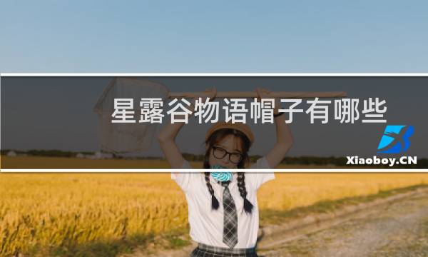 星露谷物语帽子有哪些