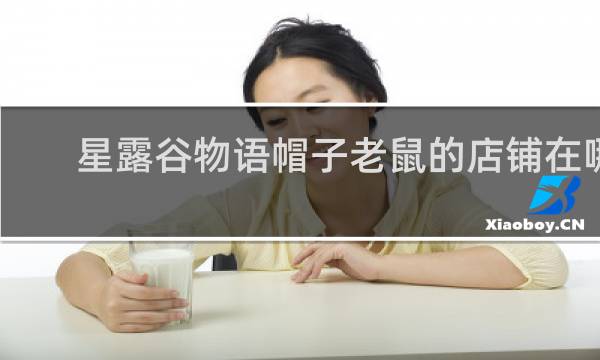 星露谷物语帽子老鼠的店铺在哪