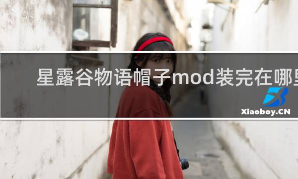 星露谷物语帽子mod装完在哪里
