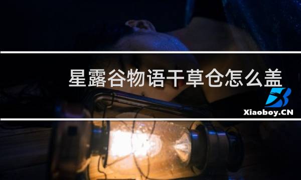 星露谷物语干草仓怎么盖