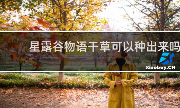 星露谷物语干草可以种出来吗