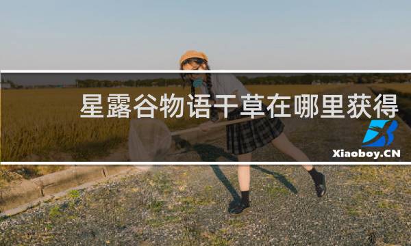 星露谷物语干草在哪里获得