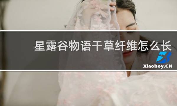 星露谷物语干草纤维怎么长