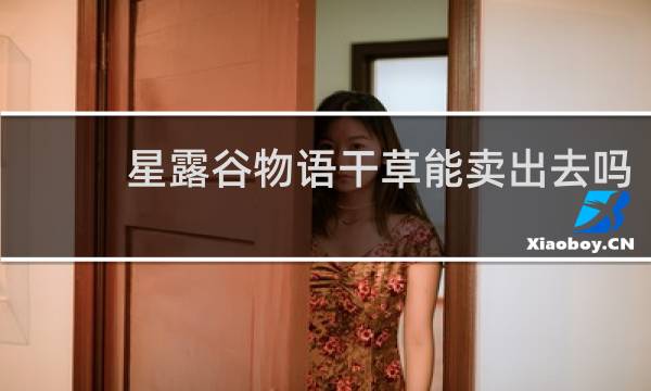 星露谷物语干草能卖出去吗