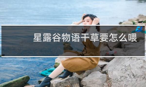 星露谷物语干草要怎么喂