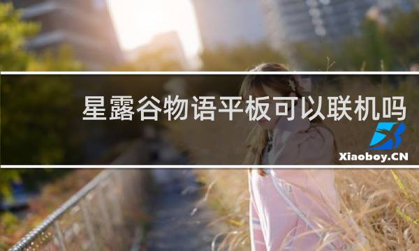 星露谷物语平板可以联机吗