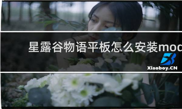 星露谷物语平板怎么安装mod