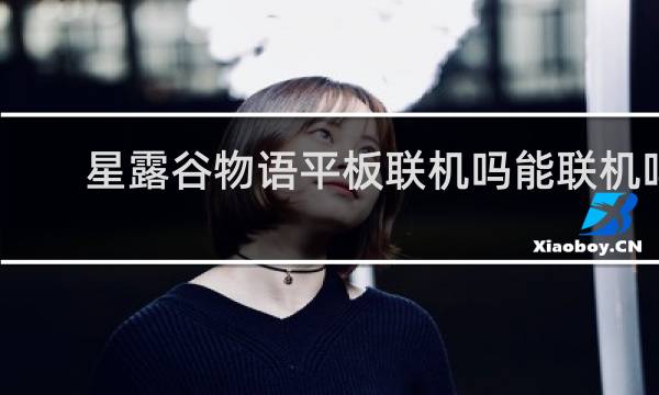 星露谷物语平板联机吗能联机吗