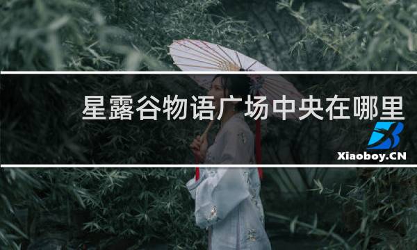 星露谷物语广场中央在哪里