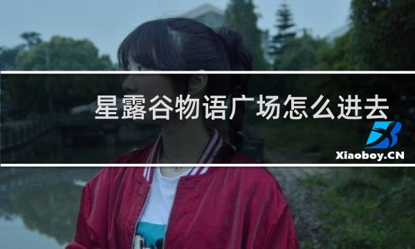 星露谷物语广场怎么进去