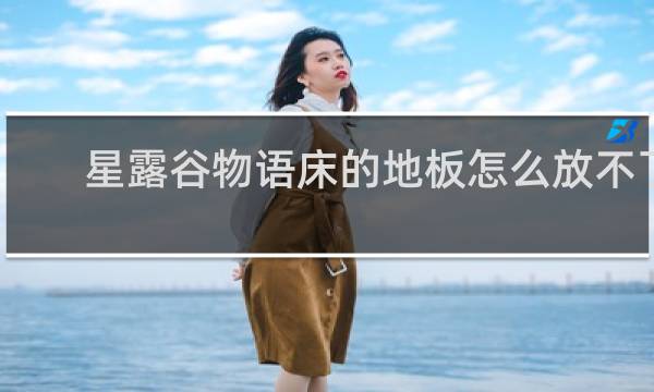 星露谷物语床的地板怎么放不了