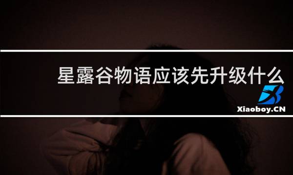 星露谷物语应该先升级什么