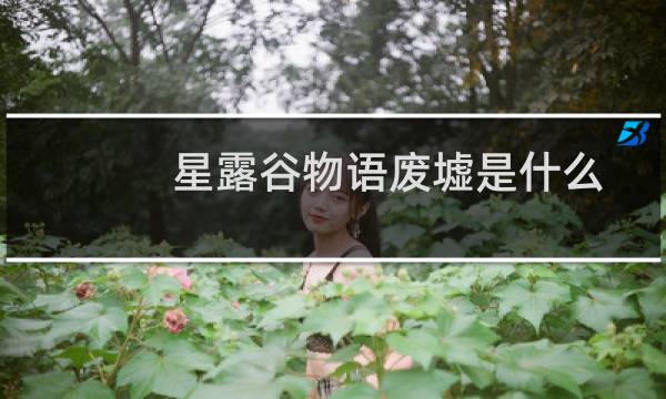 星露谷物语废墟是什么