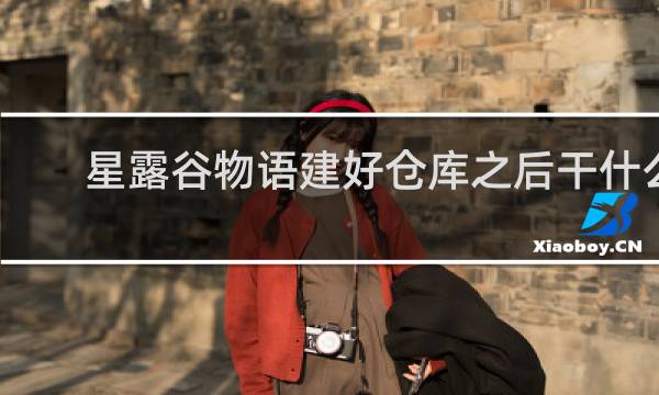 星露谷物语建好仓库之后干什么