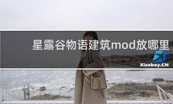 星露谷物语建筑mod放哪里