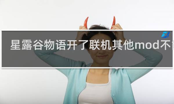 星露谷物语开了联机其他mod不能用