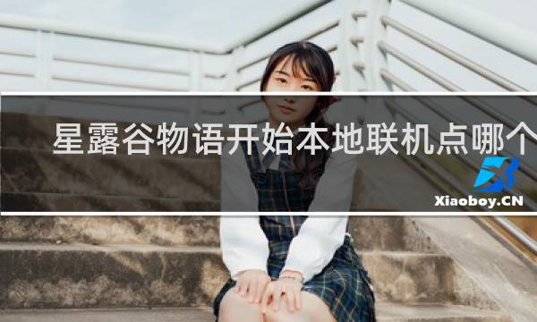 星露谷物语开始本地联机点哪个键