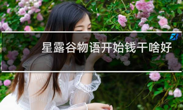 星露谷物语开始钱干啥好