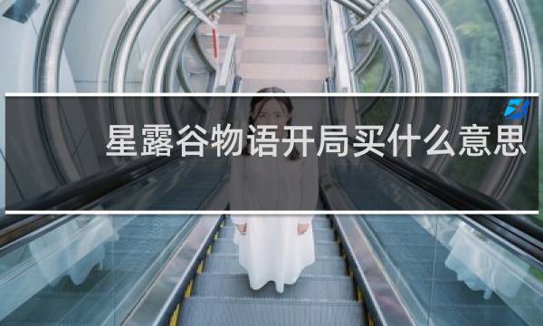 星露谷物语开局买什么意思