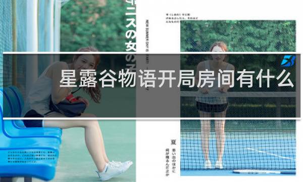 星露谷物语开局房间有什么