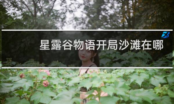 星露谷物语开局沙滩在哪