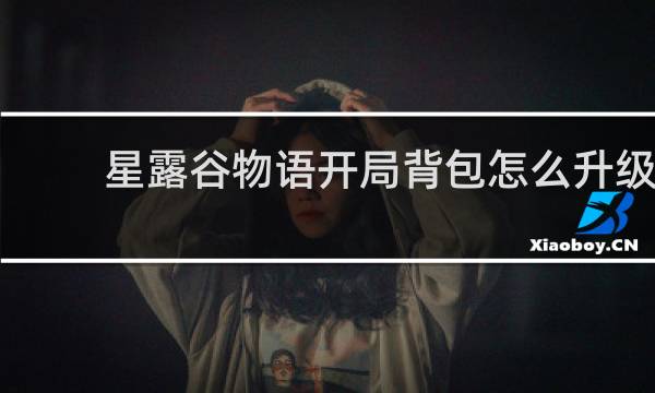 星露谷物语开局背包怎么升级