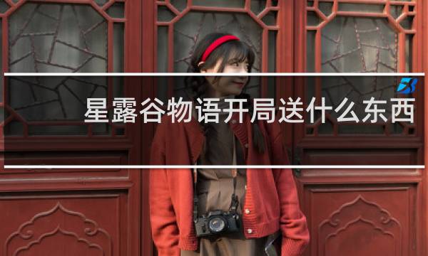 星露谷物语开局送什么东西