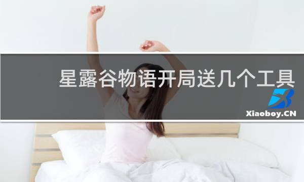 星露谷物语开局送几个工具