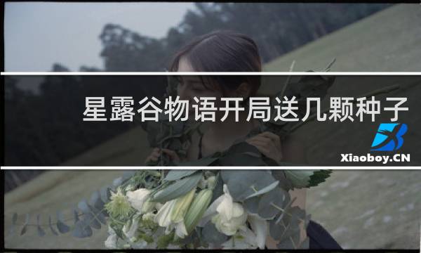 星露谷物语开局送几颗种子