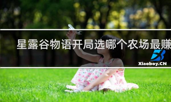星露谷物语开局选哪个农场最赚钱