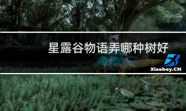 星露谷物语弄哪种树好