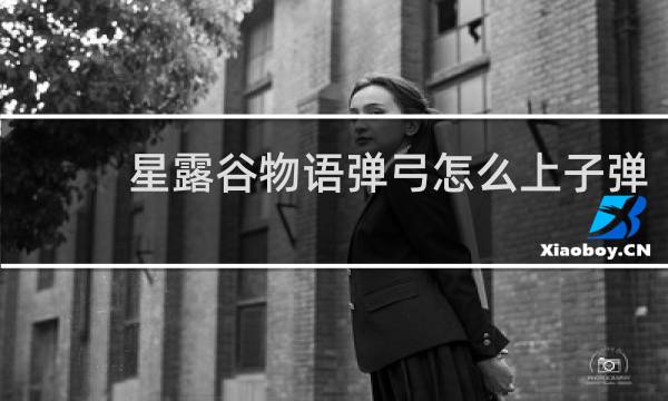 星露谷物语弹弓怎么上子弹