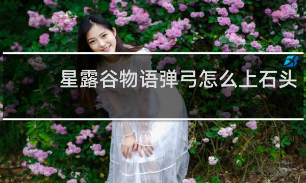 星露谷物语弹弓怎么上石头